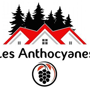 Les Anthocyanes Chambre Foret Champagny Exterior photo