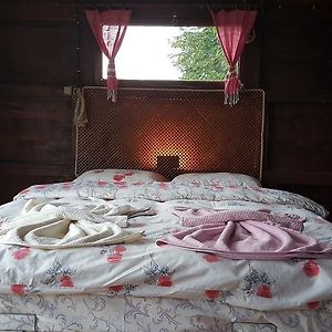 Olimbera Koy Evi Bed and Breakfast Artvin Exterior photo