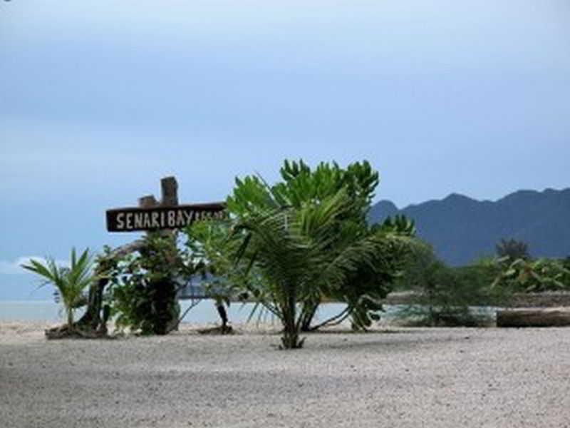 Senari Bay Resort Pantai Cenang  Buitenkant foto