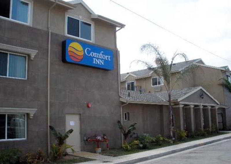 Comfort Inn Cockatoo Near Lax Hawthorne Buitenkant foto