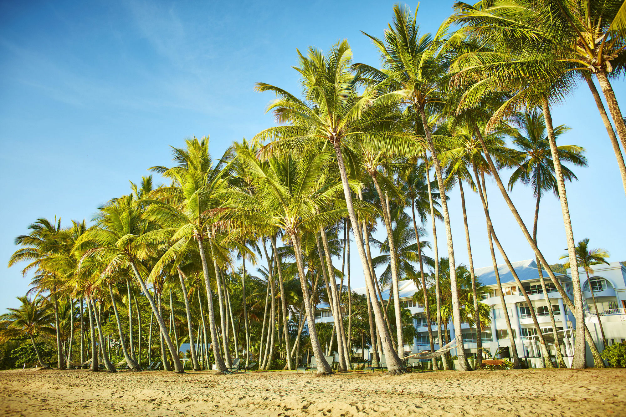 Alamanda Palm Cove By Lancemore Buitenkant foto