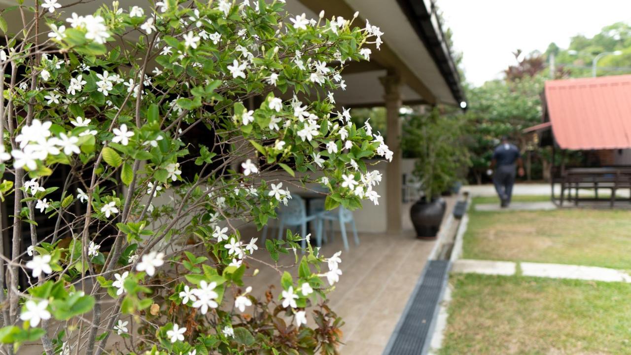 Pemandangan Indah Guest House - Look Out Point Villa- Pantai Cenang  Buitenkant foto