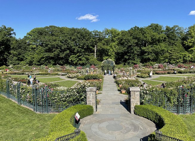 New York Botanical Garden photo