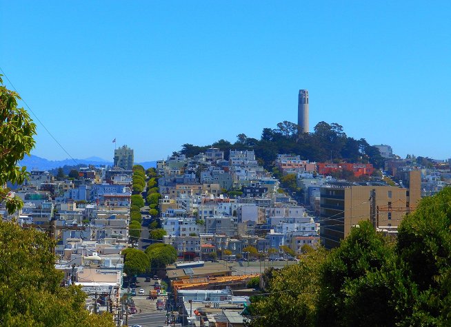 Coit Tower photo