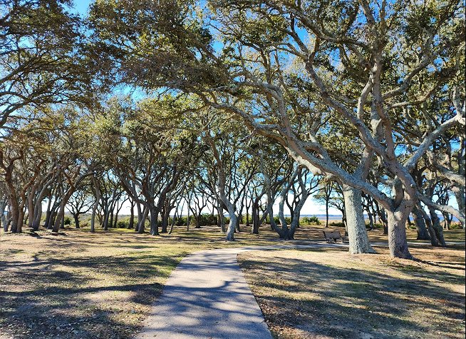 Fort Fisher State Historic Site photo