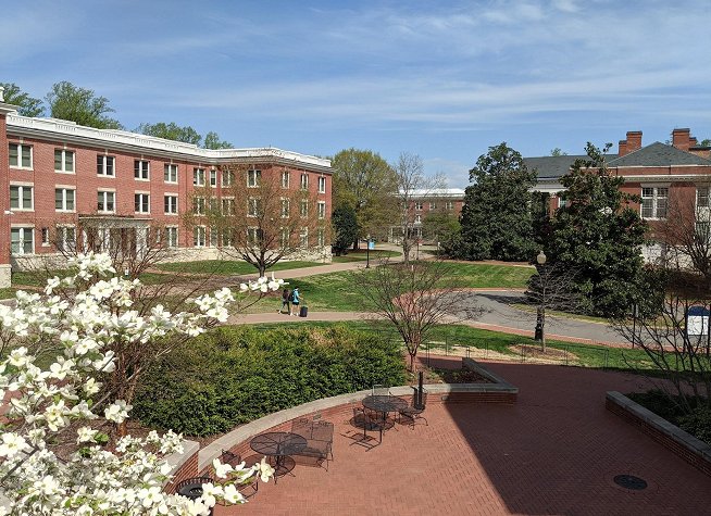 University of Mary Washington photo
