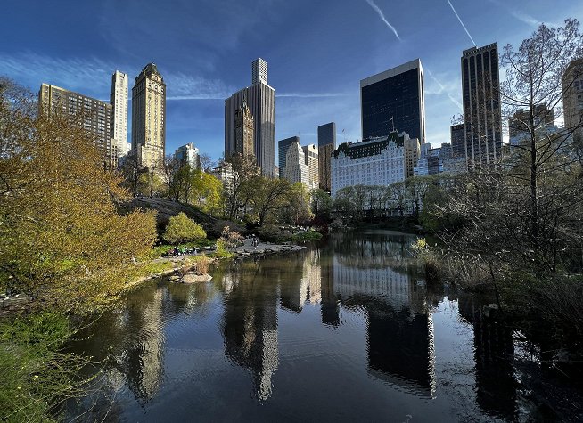 Central Park photo