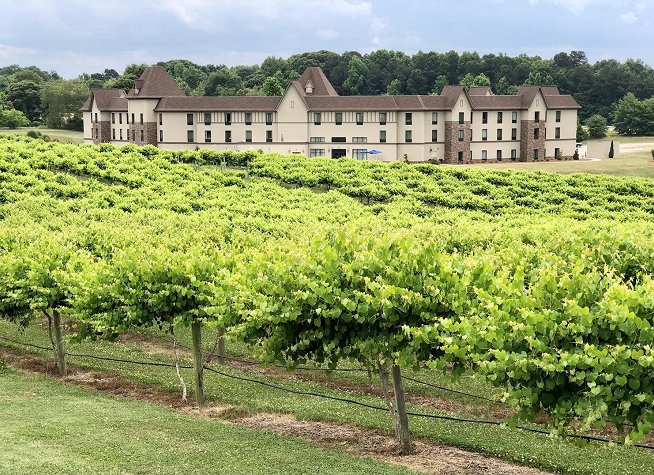 Chateau elan Winery photo
