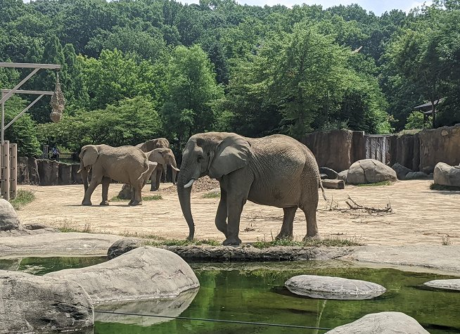 Cleveland Metroparks Zoo photo