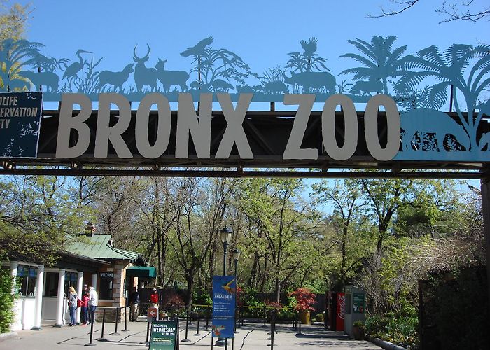 Bronx Zoo photo