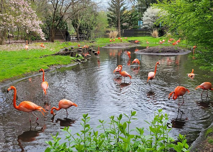 Bronx Zoo photo