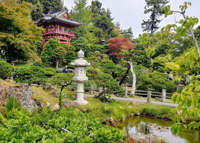 Golden Gate Park photo