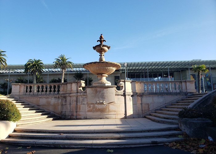 Golden Gate Park photo