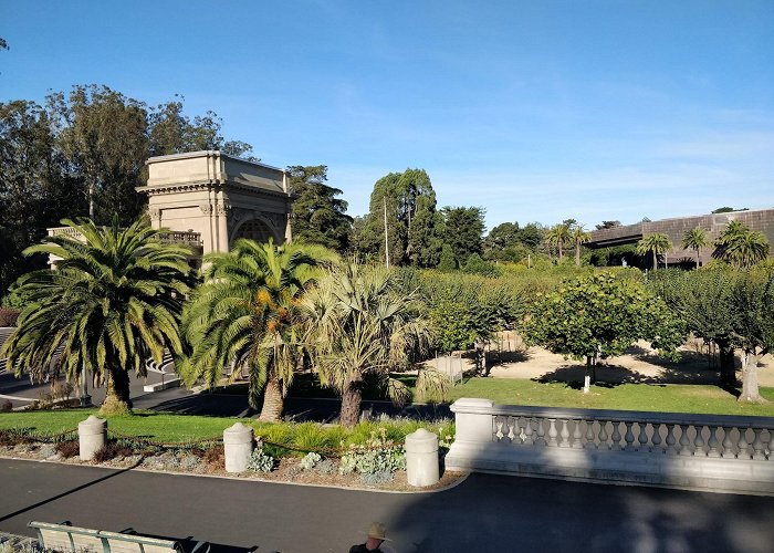 Golden Gate Park photo