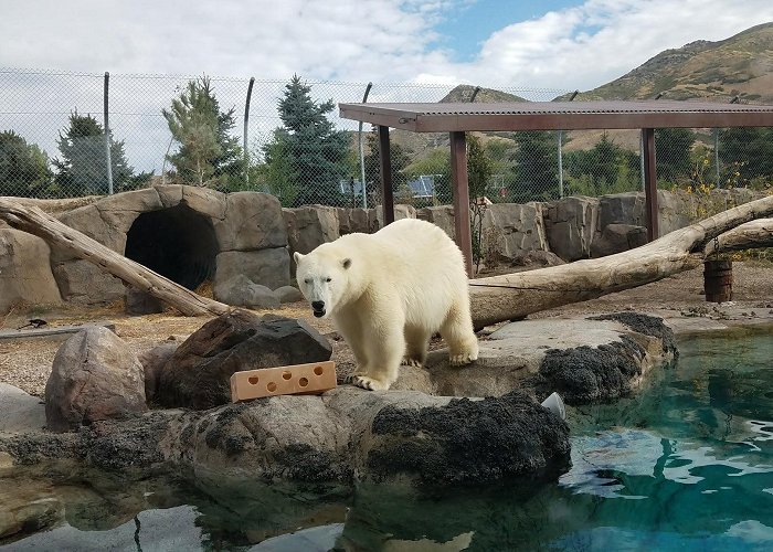 Utah's Hogle Zoo photo