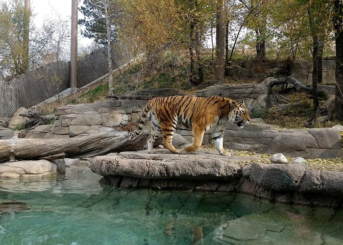 Utah's Hogle Zoo photo