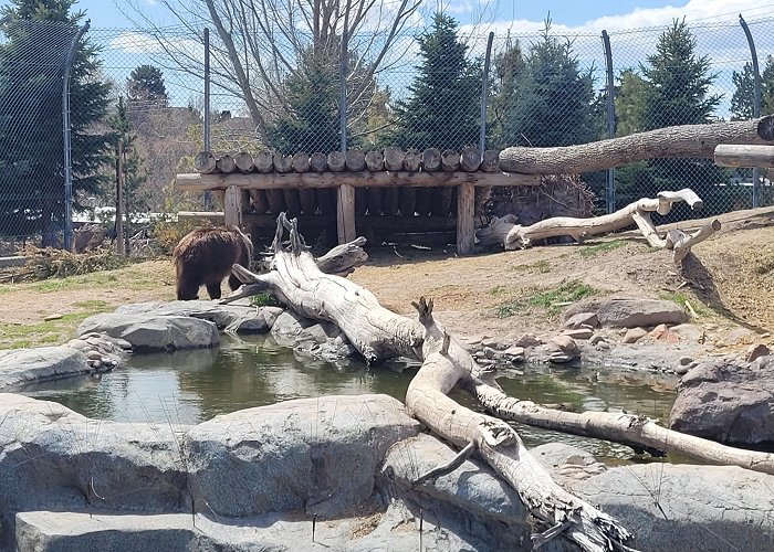 Utah's Hogle Zoo photo