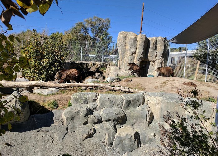 Utah's Hogle Zoo photo