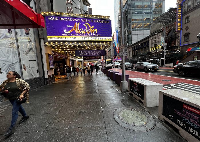 New Amsterdam Theatre photo