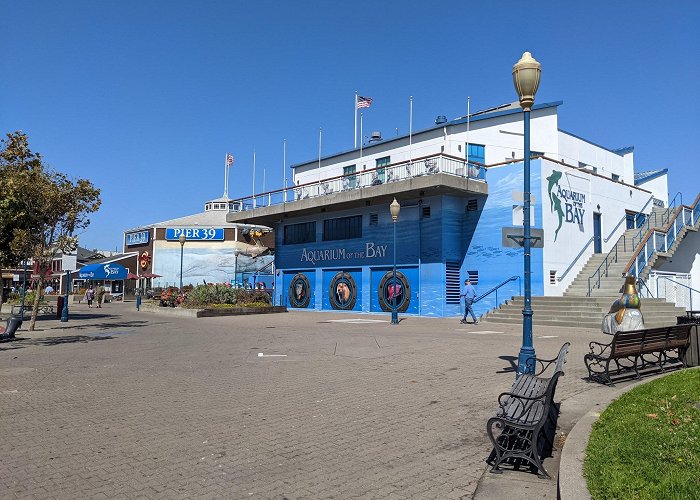 Aquarium of the Bay photo