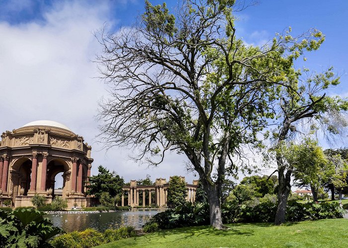 Palace of Fine Arts photo