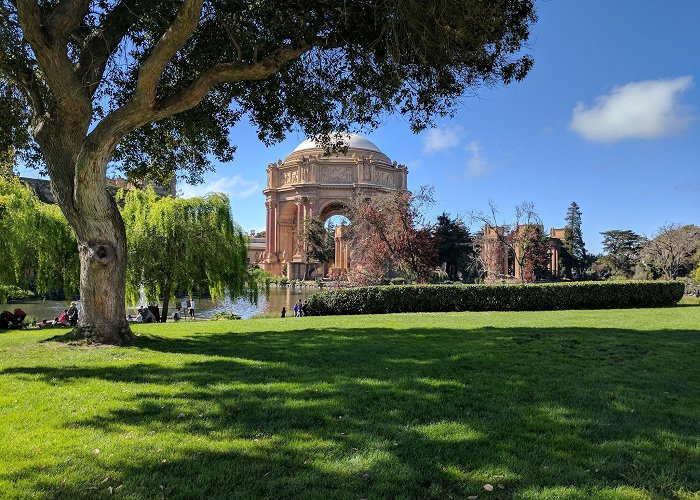 Palace of Fine Arts photo