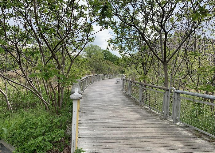 Randall's Island Park photo