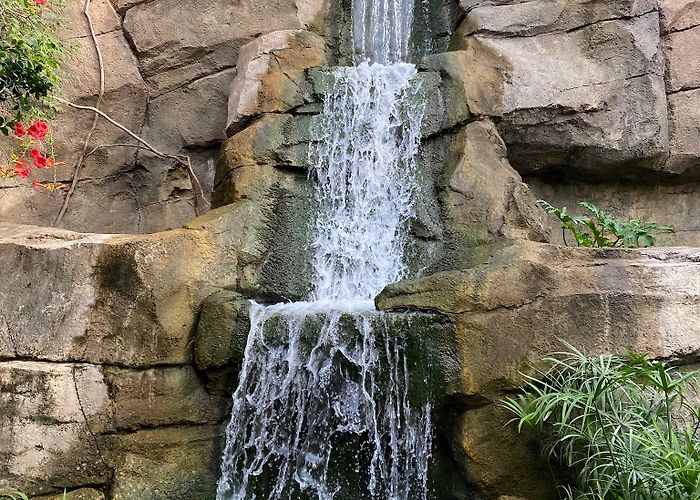 San Antonio Zoo and Aquarium photo