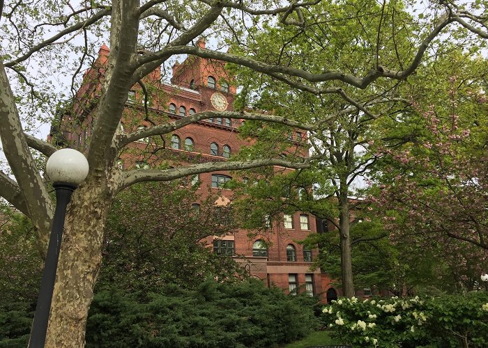 Pratt Institute photo