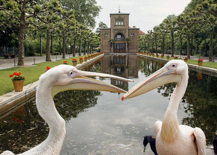 Wilhelma zoologisch-botanischer Garten Wilhelma - Zoologisch-Botanischer Garten Stuttgart | Ausflugsziel ... photo