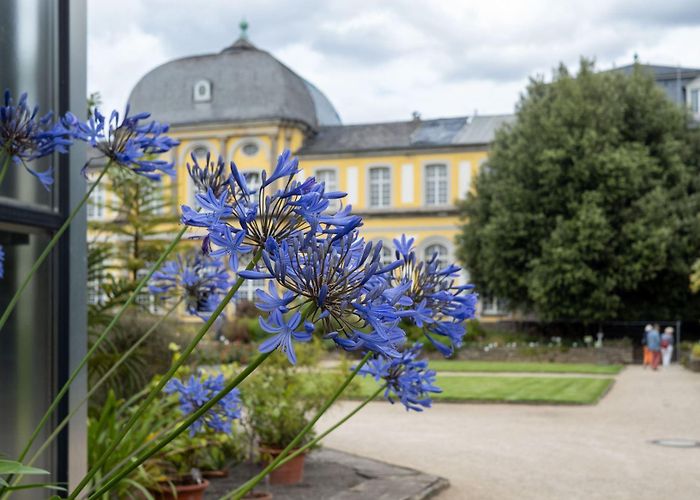 Bonn Botanical Garden Garden Explorer | Bonn University Botanic Garden photo
