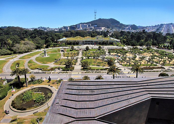 Golden Gate Park San Francisco's Golden Gate Park Just Got Brand-New Bronze and ... photo