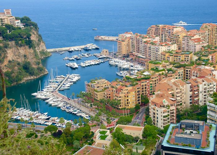 Exotic Garden of Monaco Jardin Exotique Tours - Book Now | Expedia photo