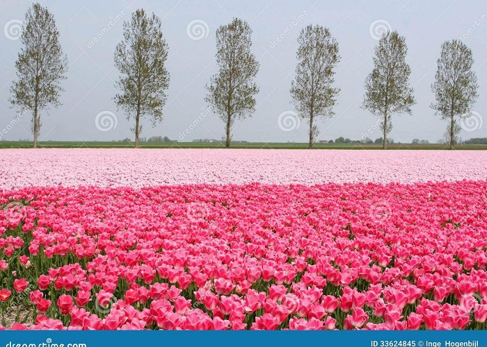 Lighthouse Urk 4,008 Noordoostpolder Stock Photos - Free & Royalty-Free Stock ... photo