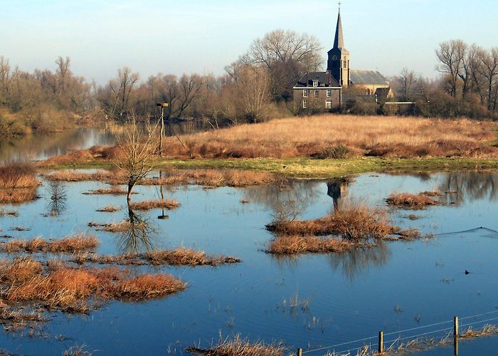 Millinger Theetuin Cyclists, wild horses cross paths in rustic Netherlands landscape ... photo