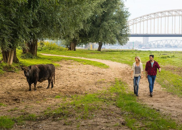 Ooijpolder Ooijpolder photo