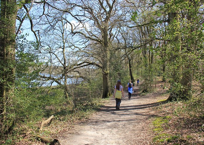 Bucklers Hard 69f – Beaulieu to Buckler's Hard | The Coastal Path photo
