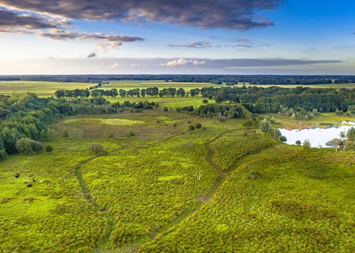 Boswachterij Gees Singlereis Fietsen in Drenthe - Aktiva Tours | vanaf 469,- photo