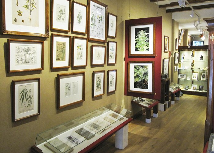 Hash Marihuana & Hemp Museum Hash Marihuana & Hemp Museum | Discover Benelux photo