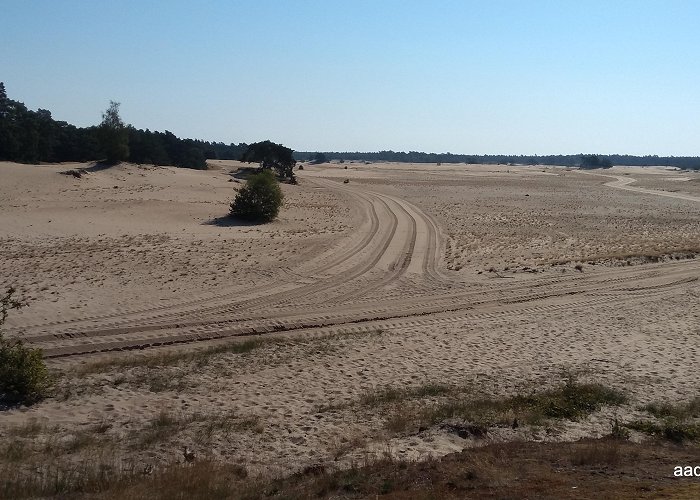 Kootwijkerveen Edelherttrail Harderwijk – NieuwMilligen 7 augustus 2020 ... photo