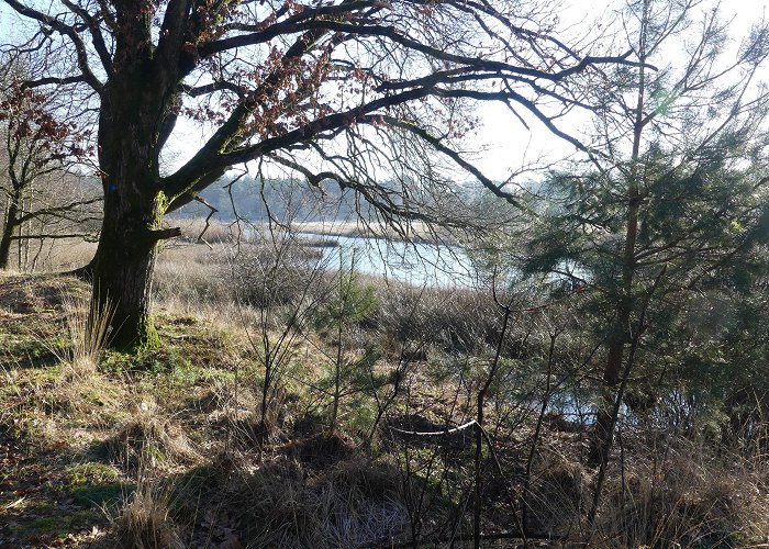 Kootwijkerveen Mijn mooiste wandelingen – Wandelingen in Nederland en Europa photo