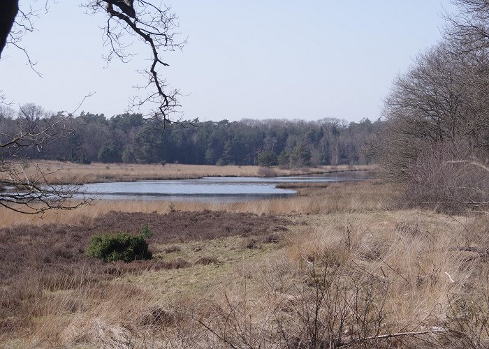 Kootwijkerveen De sloophamer – Eagletrail photo