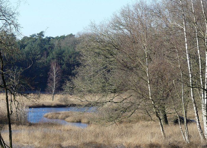 Kootwijkerveen Mijn mooiste wandelingen – Wandelingen in Nederland en Europa photo