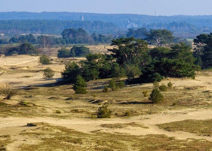 Kootwijkerveen Boswachterspad Kootwijk: zandverstuiving Kootwijkerzand photo