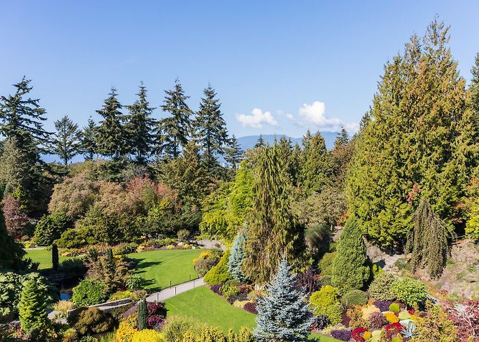 Queen Elizabeth Park Queen Elizabeth Park — Park Review | Condé Nast Traveler photo