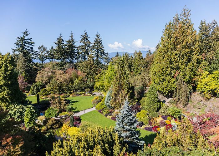 Queen Elizabeth Park Queen Elizabeth Park — Park Review | Condé Nast Traveler photo