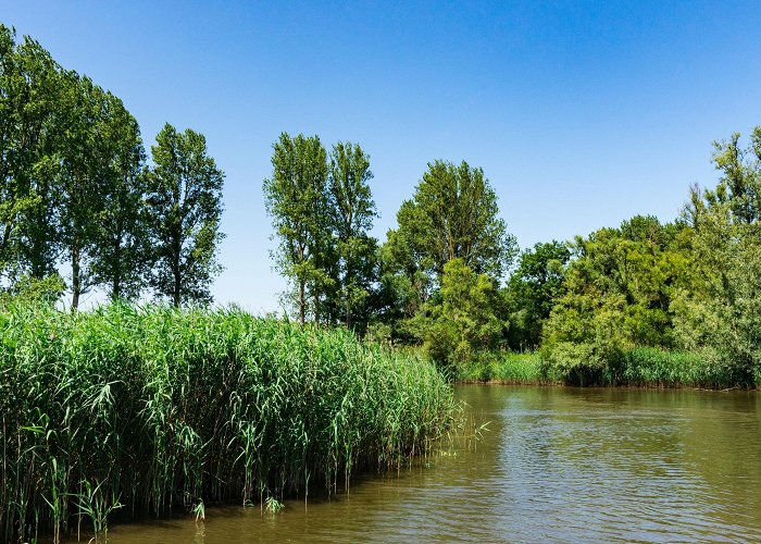 De Biesbosch Visit North Brabant: 2024 Travel Guide for North Brabant ... photo