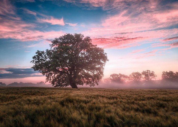 De Biesbosch Noord-Brabant Travel Guide & Travel Tips | Outdooractive photo