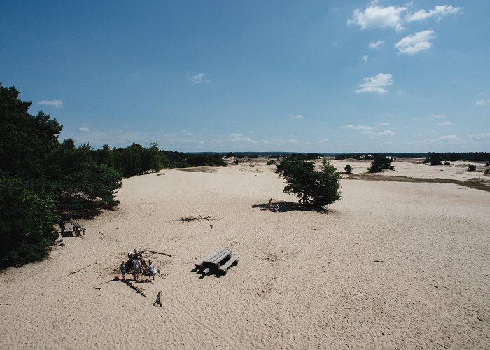 Boswachterij Kootwijk Kampeerterrein Zanderdennen, ga op avontuur op de Veluwe photo