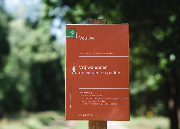 Boswachterij Kootwijk Kampeerterrein Zanderdennen, ga op avontuur op de Veluwe photo